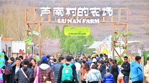 港九片区成功打造“呼啸谷”“静心宿集”等8个农文旅项目,获评省级乡村旅游重点村、全省乡村振兴齐鲁样板典型案例